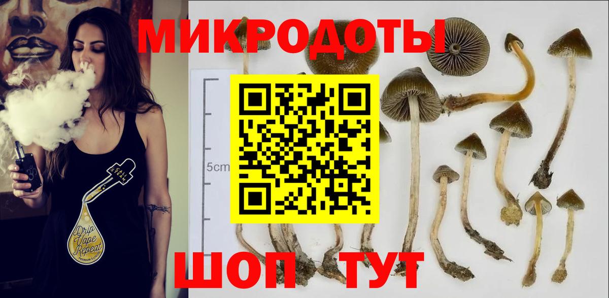 Галлюциногенные грибы ЛСД  Псилоцибиновые грибы прущие грибы  Вход с VPN  Фрязино 
